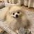Satoshi