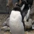 コウショウキ