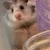 し