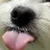 こや