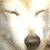 ひ