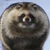 たぬ