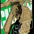 もだしん