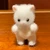 かしぇ