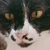 ソ