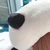 ちの