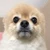 ねもし
