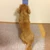 うまい棒