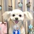 Yoshihiko