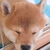 ち