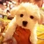やえてぃんくる☆彡