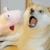 Dopies