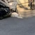 みちよ