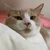 にこぽよ