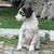 useresWRkD8erpD