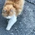 かん