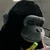 usermHL7mZCwxZh
