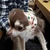 Tomoyan