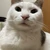 ひろarts