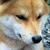りゅう
