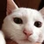 あずさ