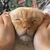 すいみん