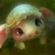 ぴぐぴぐら
