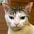 ここらへん
