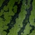 Hayashi