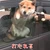 仮免