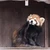 ぐっちゃん