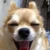 YukiNomaguchi