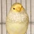 かおる