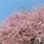 結