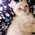 yukie