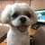 yuya
