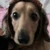 userWLttE2Vh1T3