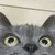 スー