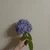 おとは