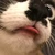 おすし