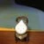 ぴが
