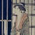 銀朱A