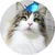Tm