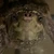 いーちゃん