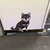 あかぼし
