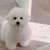 みお