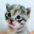 あずき