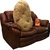 couchpotato