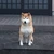 はるな