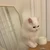 ゆうり